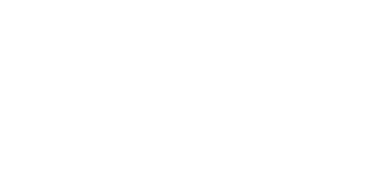 18.24 Agency